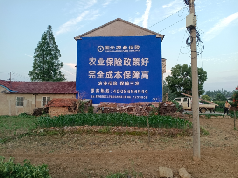 宿松墙体广告为何受追捧？